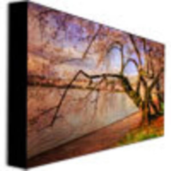 Lois Bryan 'At the Cherry Blossom Festival' Canvas Art, 22x32, Trademark Fine Art, Mfr#: LBr091-C2232GG